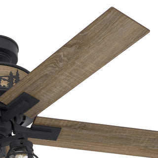 Hunter 52" Mt. Vista Ceiling Fan, Natural Iron With LED Light and Pull ChainNone