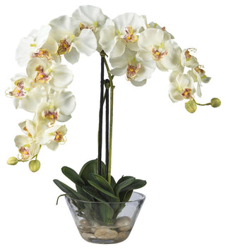 Phalaenopsis With Glass Vase Silk Flower Arrangement, White