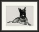 Jameson, Giclee Reproduction Artwork