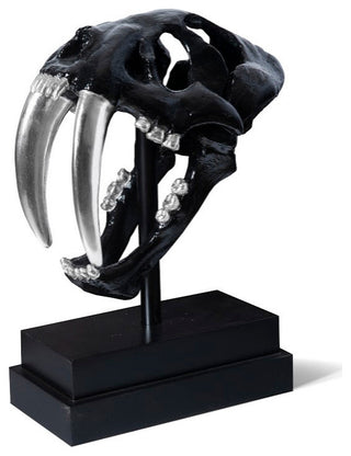Saber Tooth Tiger Skull, Black