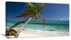 "Palm Bent To Picturesque Seashore" Modern Seascape Wall Art, 40"x20"