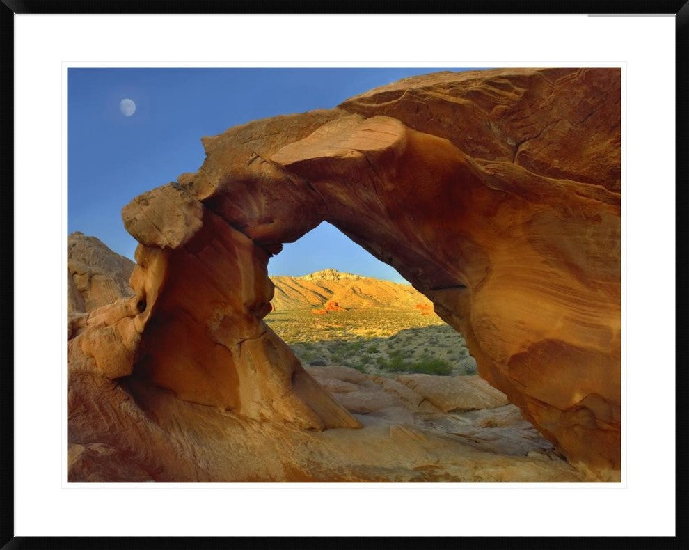 Arch Rock and Moon, Valley Of Fire State Park, Nevada, 38"x30"