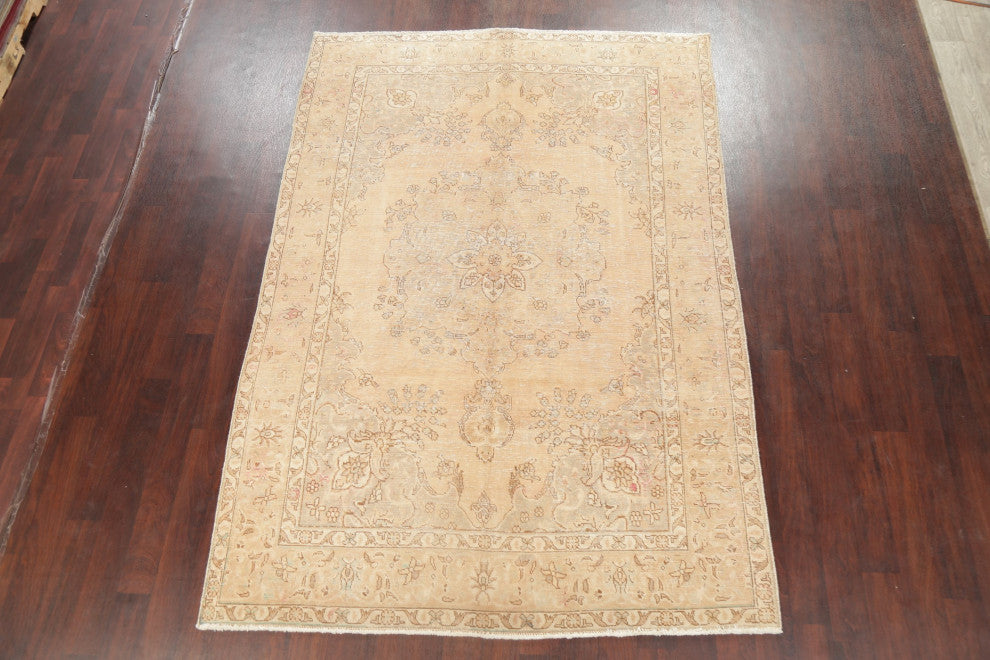 Consigned, Vintage Distressed Handmade Persian Traditional Area Rug, Beige, 6x9