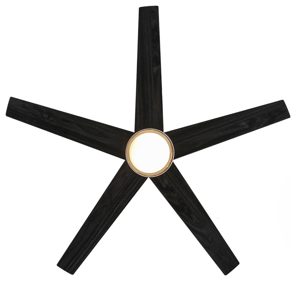 52-inch Black Modern Ceiling Fans with Lights and Wall Control