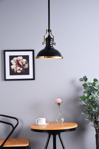 Edith 1-Light Matte Black Pendant