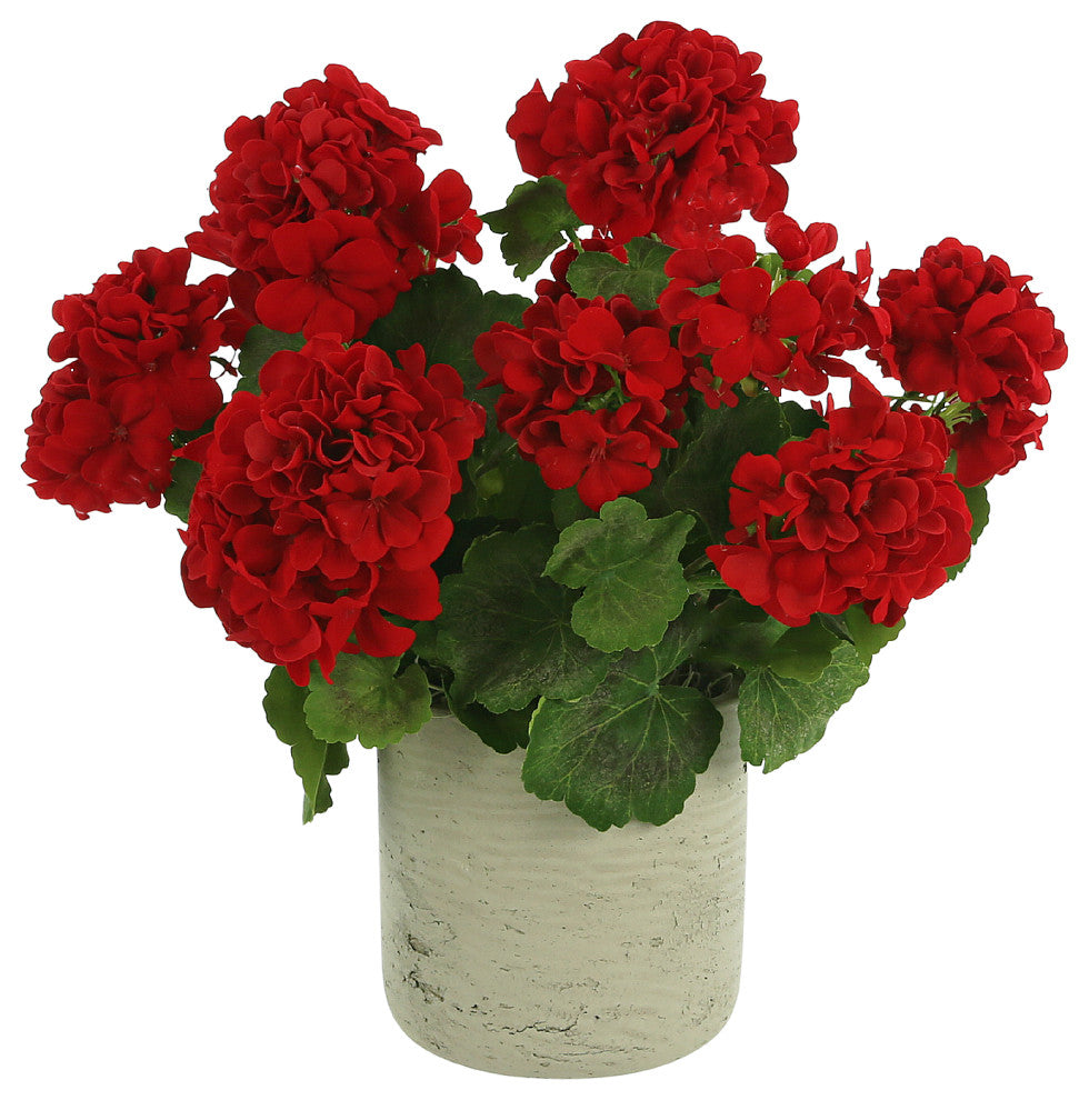 Creative Displays Red Geranium Arrangement in a Fiberstone Pot