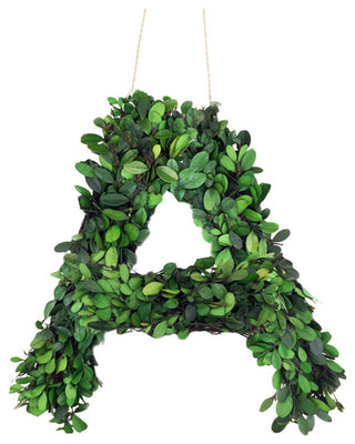 Modern Home 12" Real Preserved Boxwood Monogram Wreath Letters - A