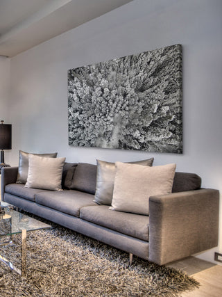 "Frozen Friends" Print on Canvas by Karolis Janulis