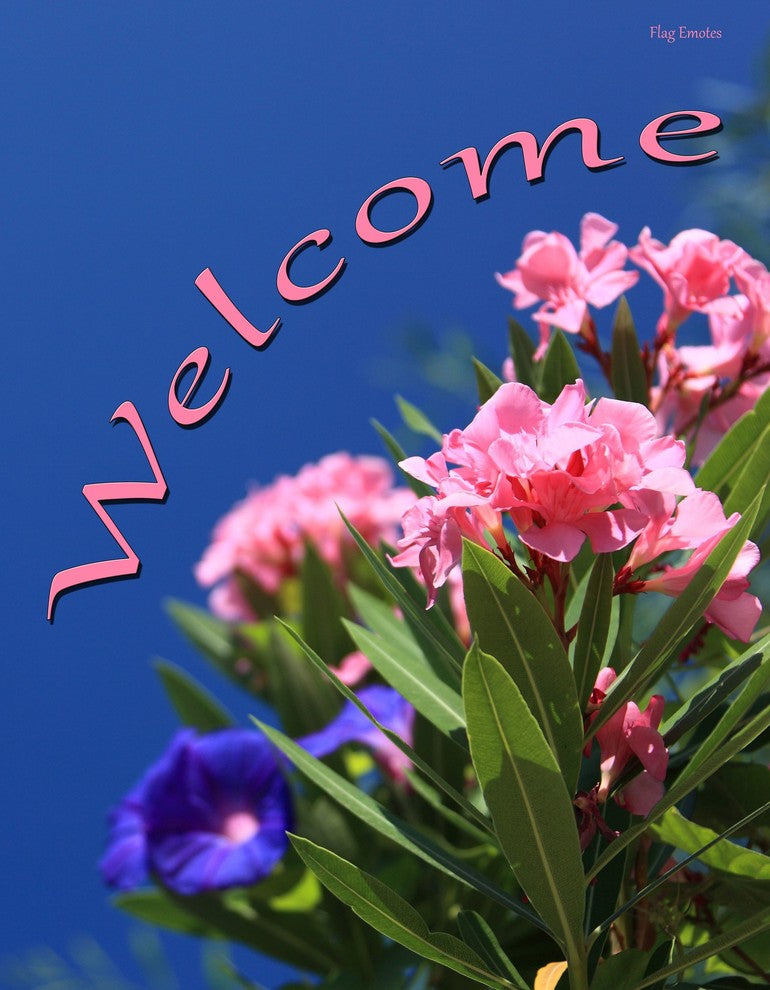 Double Sided Garden Flag, Pink Flowers Welcome