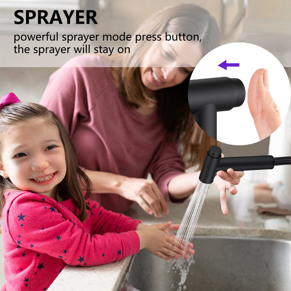 Double Handle Bridge Kitchen Faucet with Side Spray