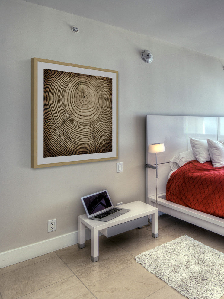 "Rings of Age" Framed Art Print
