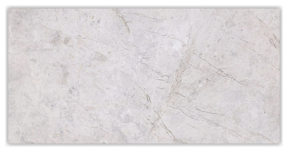 Silver Gray Dark Polished 3x6 Marble Tile