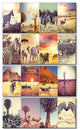 African Wildlife and Nature Collage, Landscape Canvas Print, 28"x48", 4 Panels