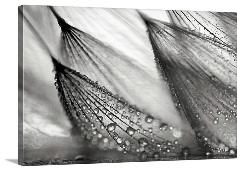 "Sweeping In the Rain " Wrapped Canvas Art Print, 36"x24"x1.5"