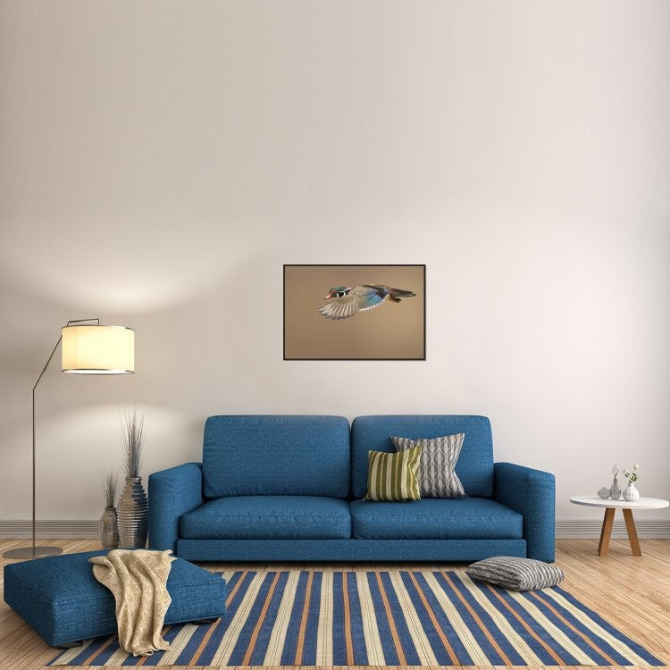 "Wood Duck" Framed Canvas Giclee by Mircea Costina, 37x25"