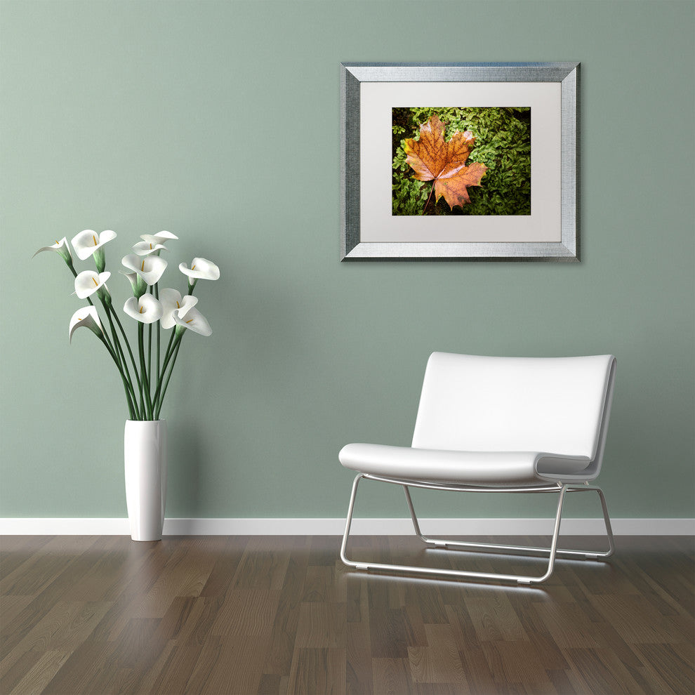 Jason Shaffer 'Maple Moss' Matted Framed Art, Silver Frame, White Mat, 14x11