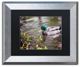 Jason Shaffer 'Mallard' Matted Framed Art, Silver Frame, Black Mat, 14x11