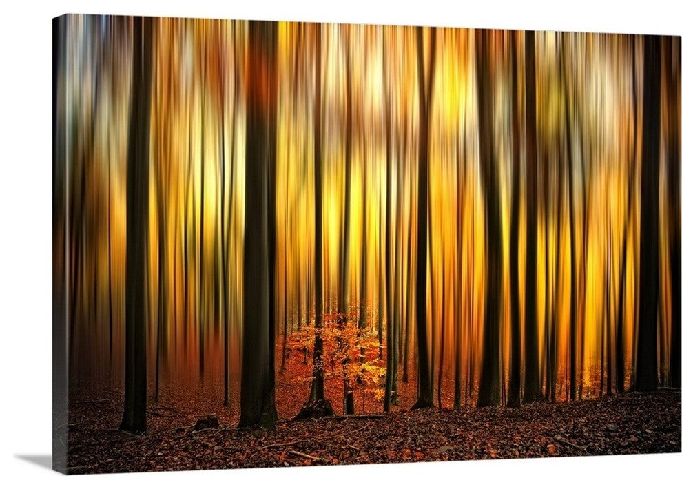 "Firewall" Wrapped Canvas Art Print, 36"x24"x1.5"