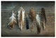 "Feather Collection I" Digital Paper Print by Sue Schlabach, 38"x26"