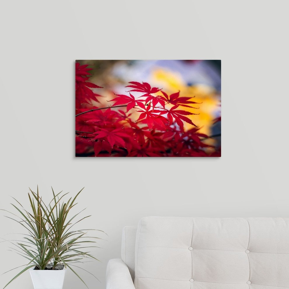 "Morning Annoucements" Wrapped Canvas Art Print, 24"x16"x1.5"