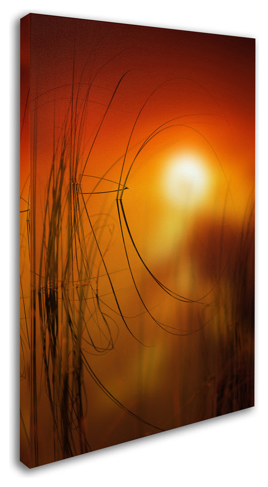 'Nature Time Machine' Canvas Art by Philippe Sainte-Laudy