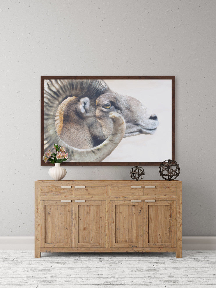 Marmont Hill, "Ram Profile 4" Framed Painting Print, 30x20