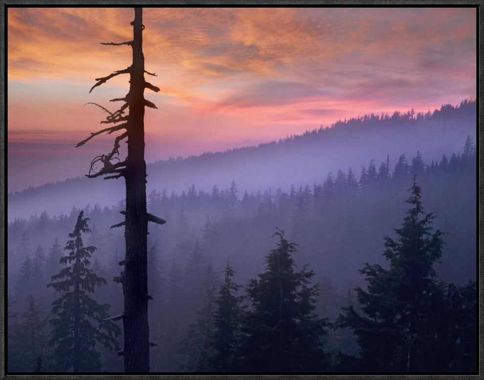 Sunset Over Forest, Crater Lake National Park, Oregon, 24"x18"