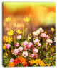 Beautiful Multi Color Flowers, Floral Canvas Art Print, 30"x40"