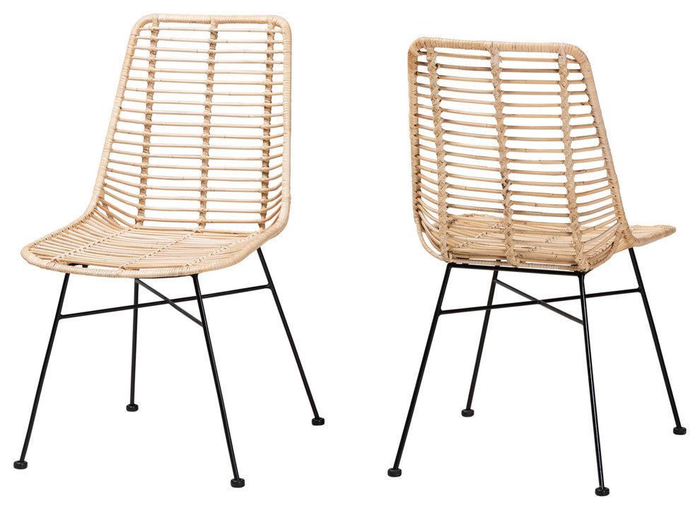 Rosalin Rattan and Metal Dining Chairs, Set of 2