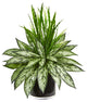 Silver Queen and Grass Artificial Plant in Black Vase