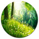 Beautiful Green Grass And Trees, Landscape Art Round Metal Artwork, 38"