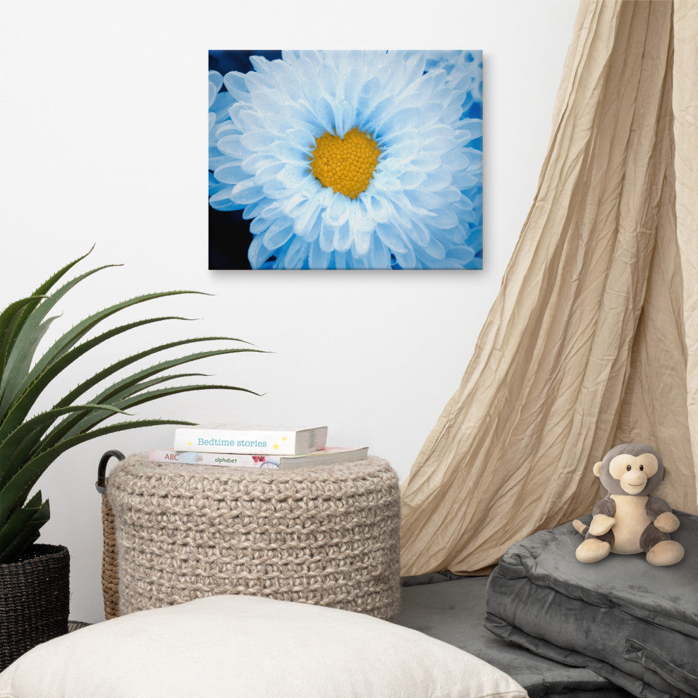 Blue Tinted Chrysanthemums Nature Photo Botanical Floral Canvas Wall Art Print, 16" X 20"