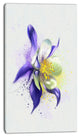 Purple Flower with White Petals, Floral Canvas Art Print, 16"x32"