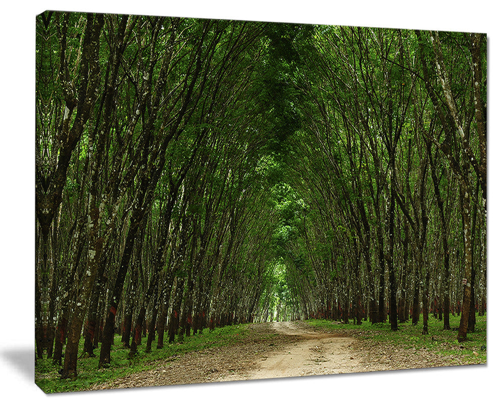 "Pathway in Thick Green Forest" Landscape Canvas Photo Print, 40"x30"