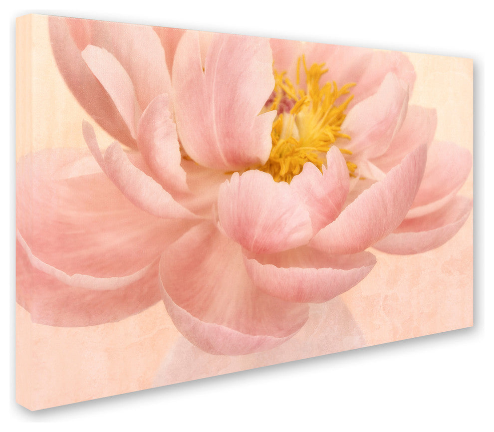 Cora Niele ''Pink Peony'' Canvas Art