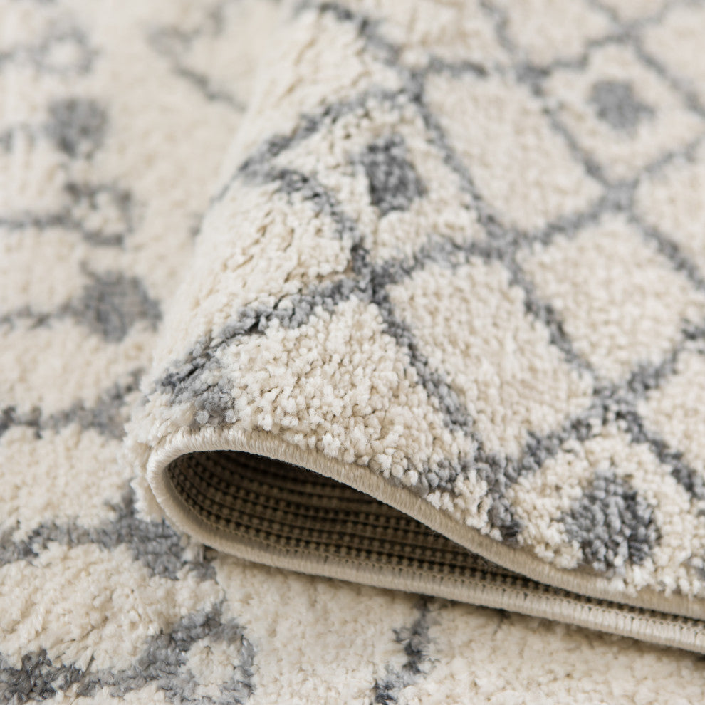 Aspen Arra Shag Polypropylene Area Rug, 5'x7'6"