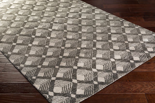 Ludlow Area Rug, 6''x9''