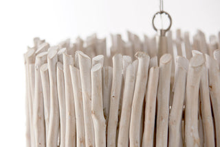 Capital Lighting Cara 4-Light Pendant 340241PP Brushed Pewter