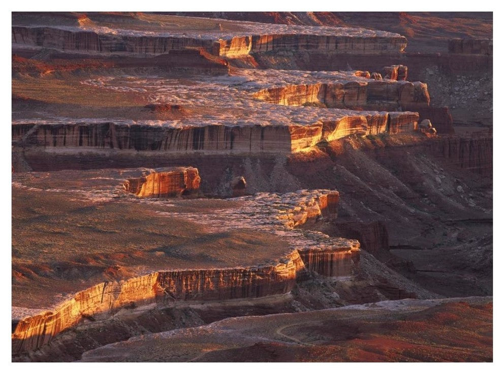 "Grandview Point over Monument Basin, Canyonlands NP" Paper Art, 50"x38"
