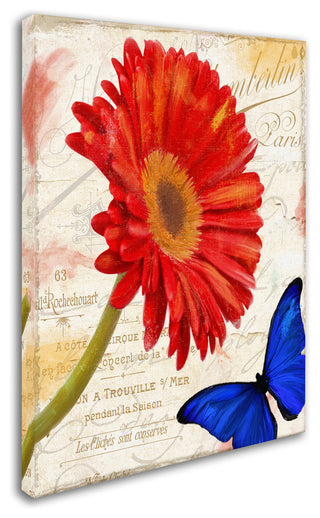 Color Bakery 'Gerbera Daisy' Canvas Art, 14"x19"