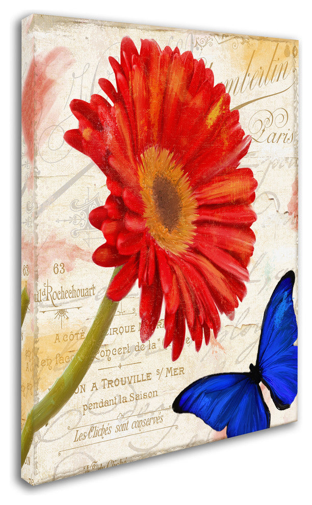 Color Bakery 'Gerbera Daisy' Canvas Art, 14"x19"