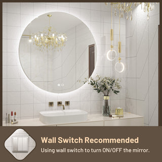 Round LED Vanity Mirror With Backlit, Anti-Fog & Dimmable LED, 36x36