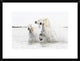 "Horses  Hight Key" Framed Digital Print by Ciro De Simone, 26"x20"