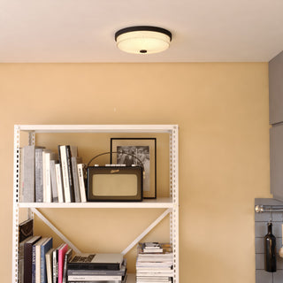 Preston 1-Light Gold Brass Transitional Dome Flush Mount LED Fixture Glass Shade, Matte Black