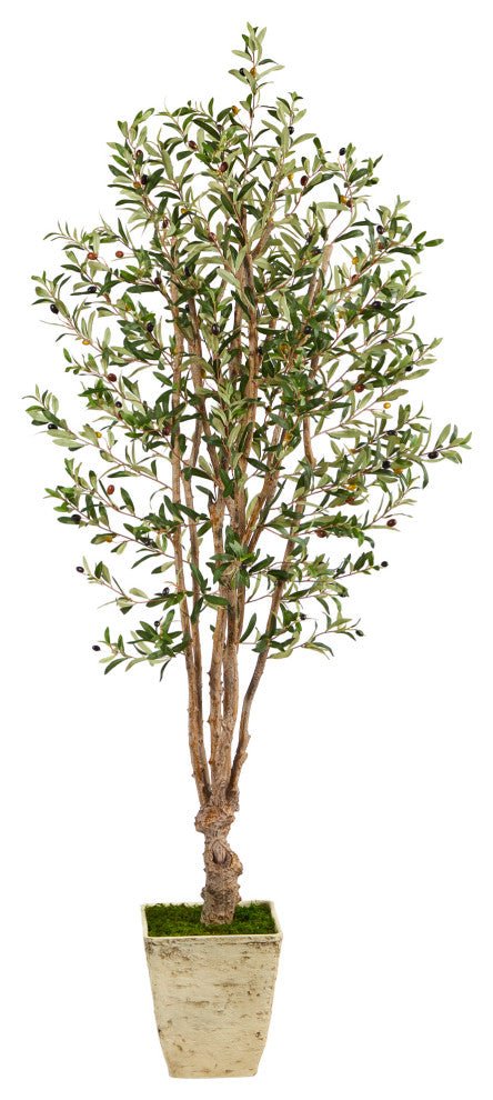 6.5' Olive Artificial Tree, Country White Planter