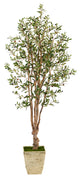6.5' Olive Artificial Tree, Country White Planter