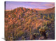 "Panther And Safford Peaks, Saguaro National Park, Arizona" Artwork