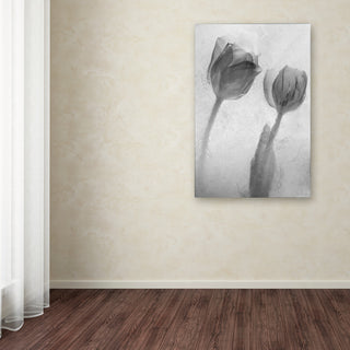 'Flowers on Ice-1' Canvas Art by Moises Levy