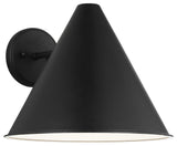 Crittenden Large 1-Light Outdoor Wall Lantern, Black