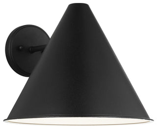 Crittenden Large 1-Light Outdoor Wall Lantern, Black